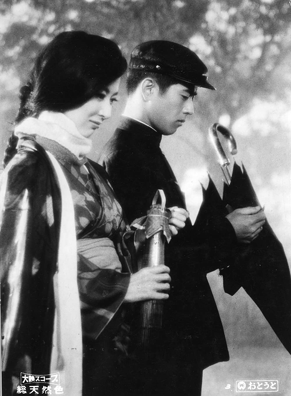 おとうとの画像