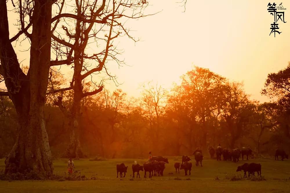 風を待っての画像