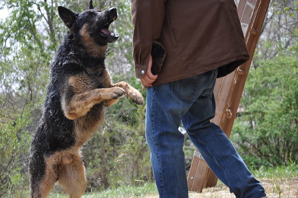 Dead Souls（原題）の画像