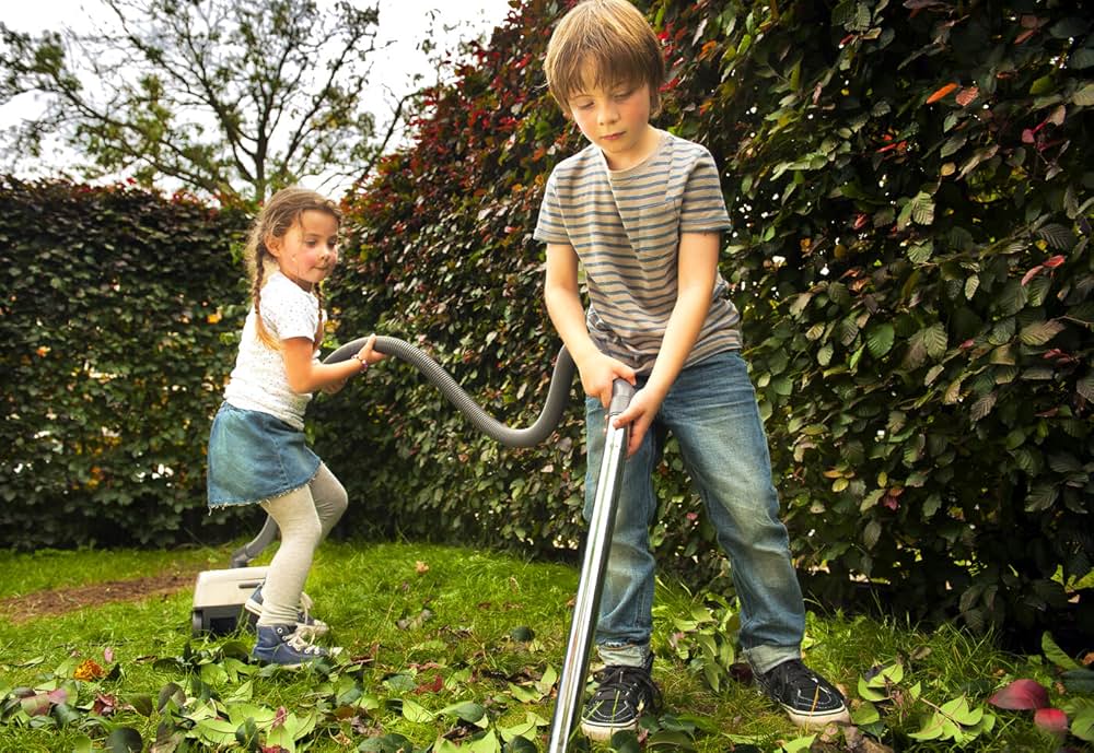 Brammetje Baas（原題）の写真