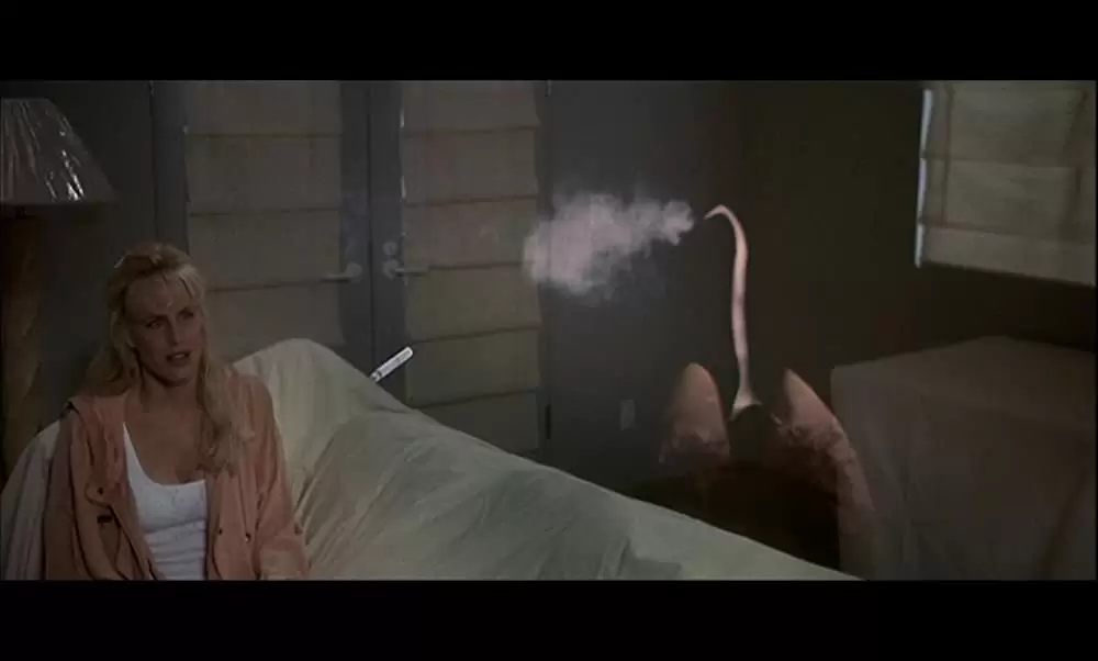 「透明人間」チェビー・チェイス & ダリル・ハンナの画像