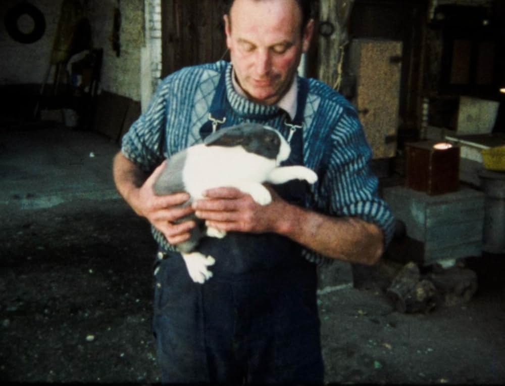 ネクロマンティックの画像