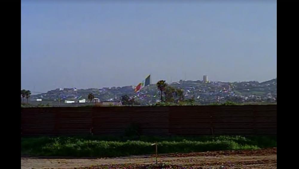 ブラック・キャッツアイの画像