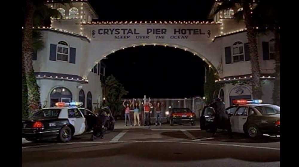 ブラック・キャッツアイの画像