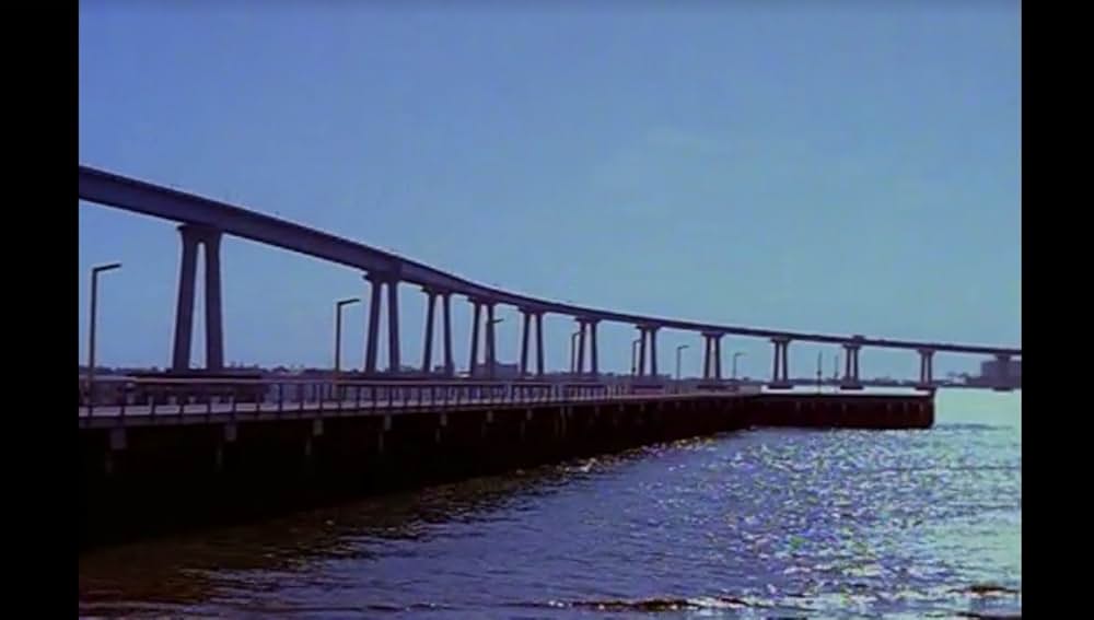 ブラック・キャッツアイの画像