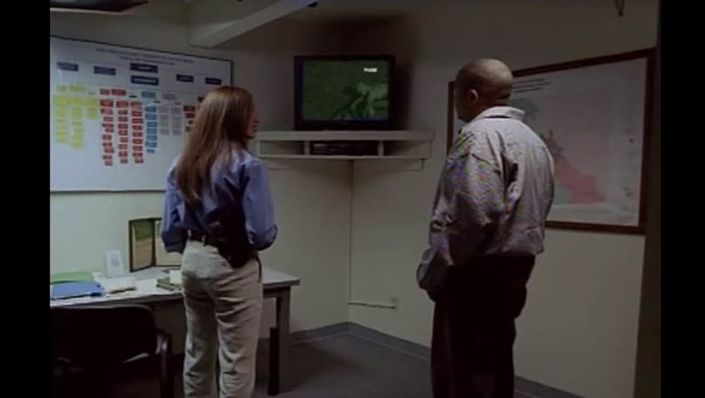 ブラック・キャッツアイの画像