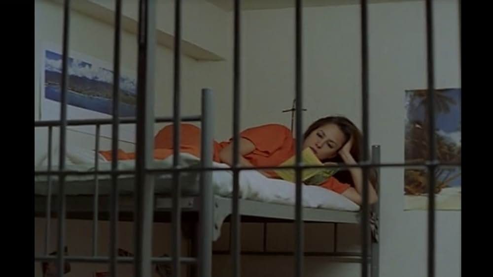 ブラック・キャッツアイの画像