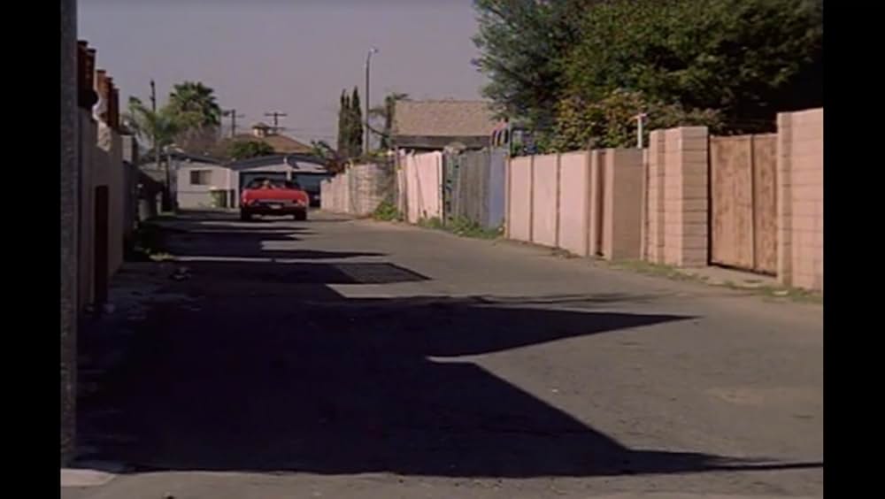 ブラック・キャッツアイの画像