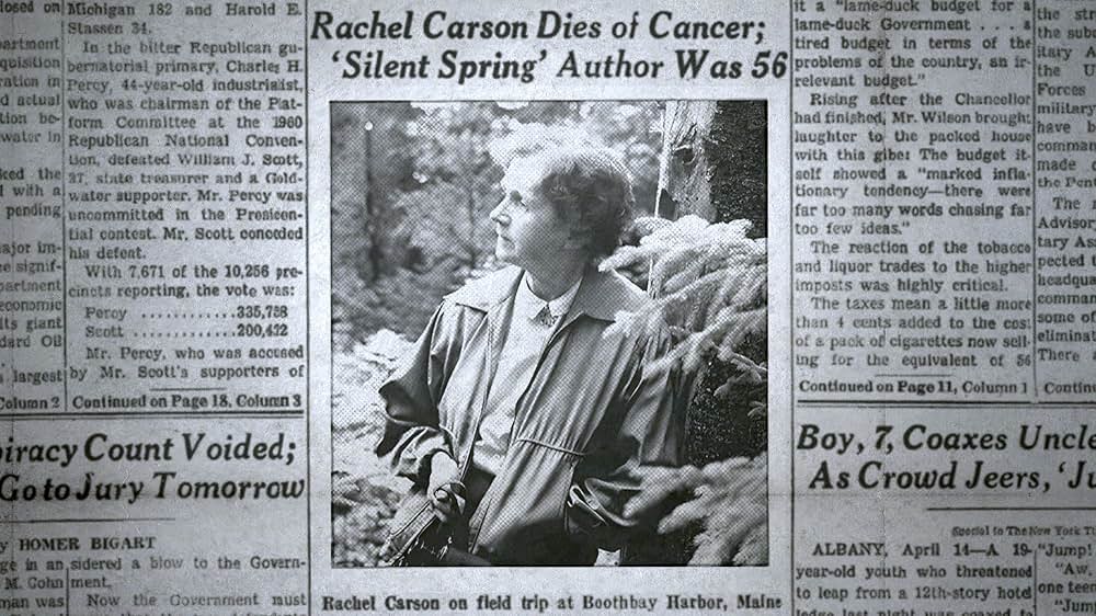 ザ・ニューヨーカー: 創刊100周年を迎えての画像