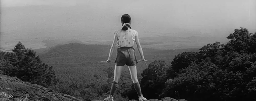 隠し砦の三悪人の画像