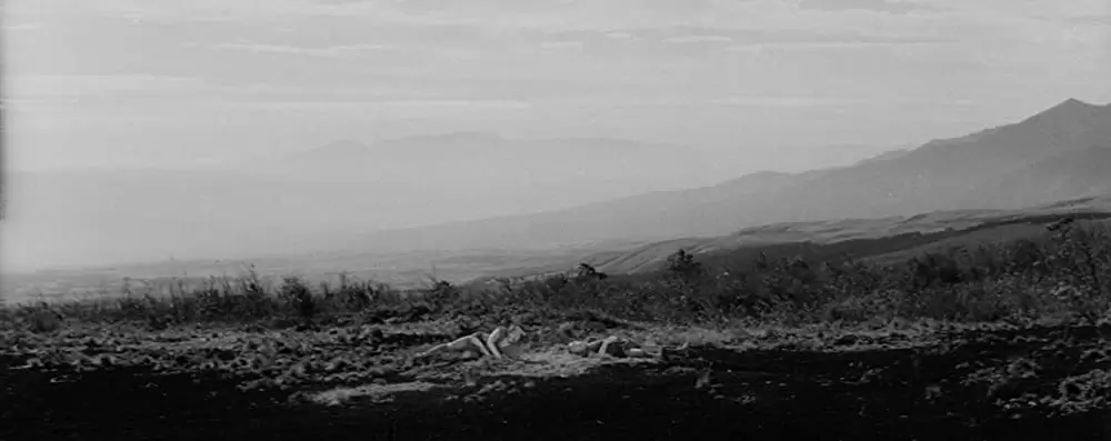 隠し砦の三悪人の画像