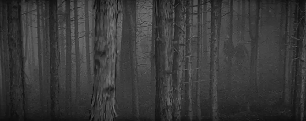 隠し砦の三悪人の画像