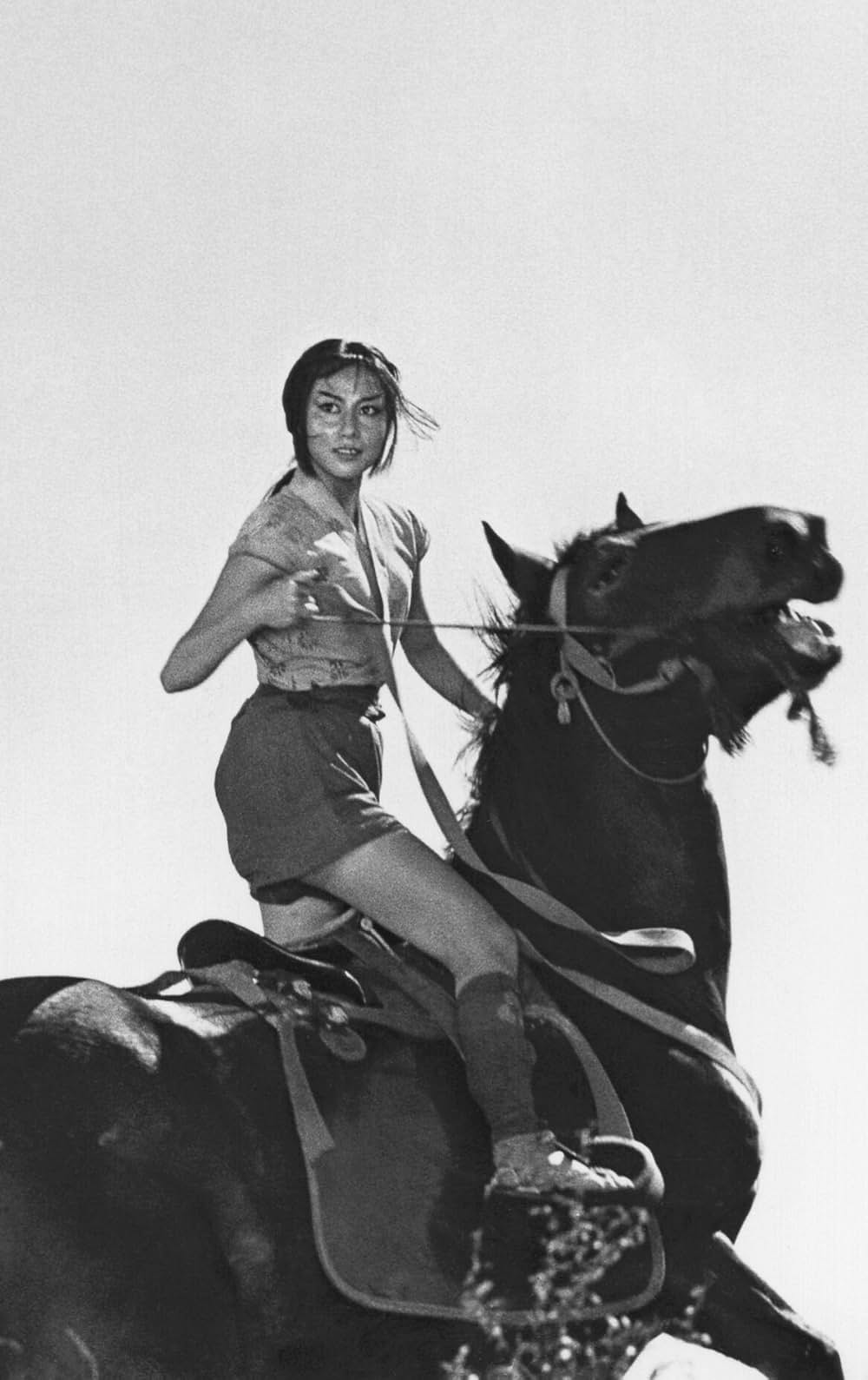 隠し砦の三悪人の画像