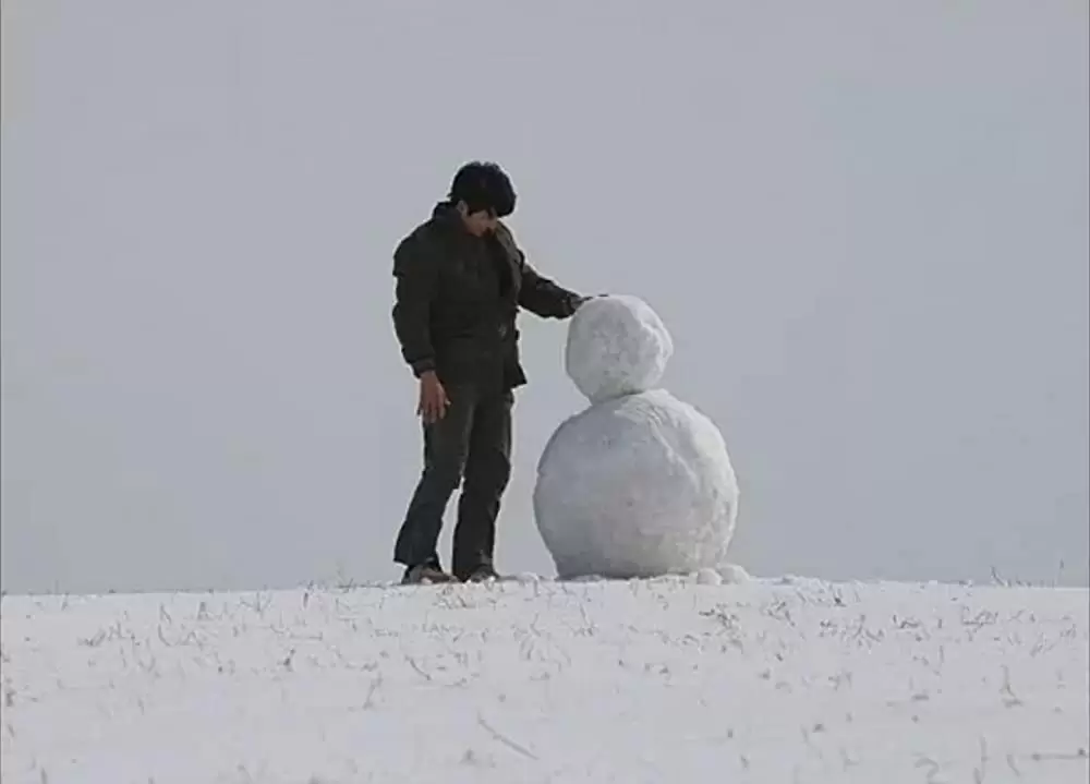 私のオオカミ少年の画像