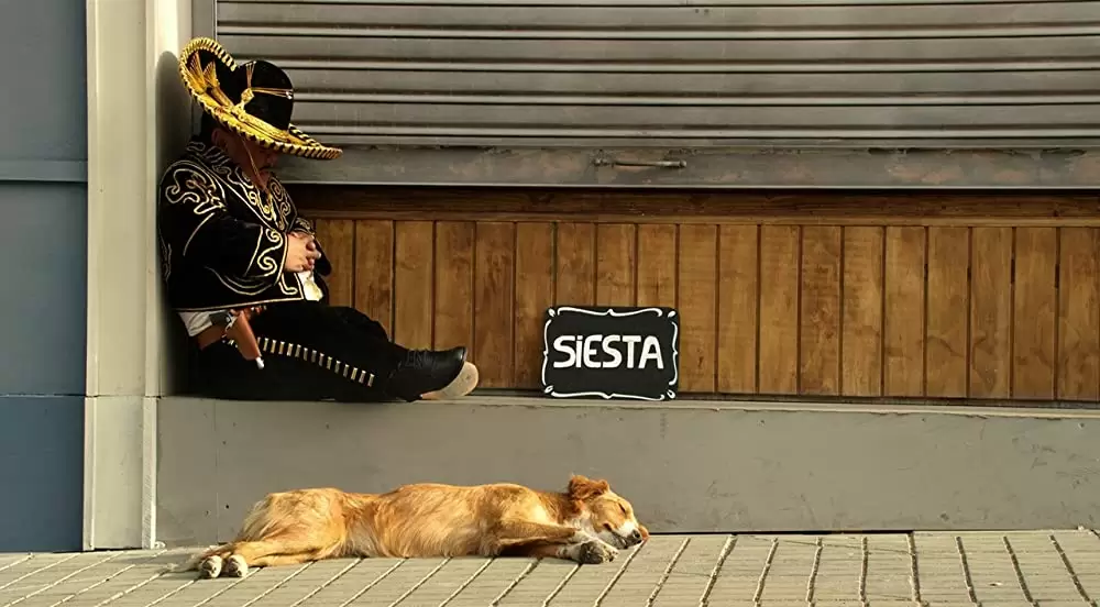 リアリティのダンスの画像