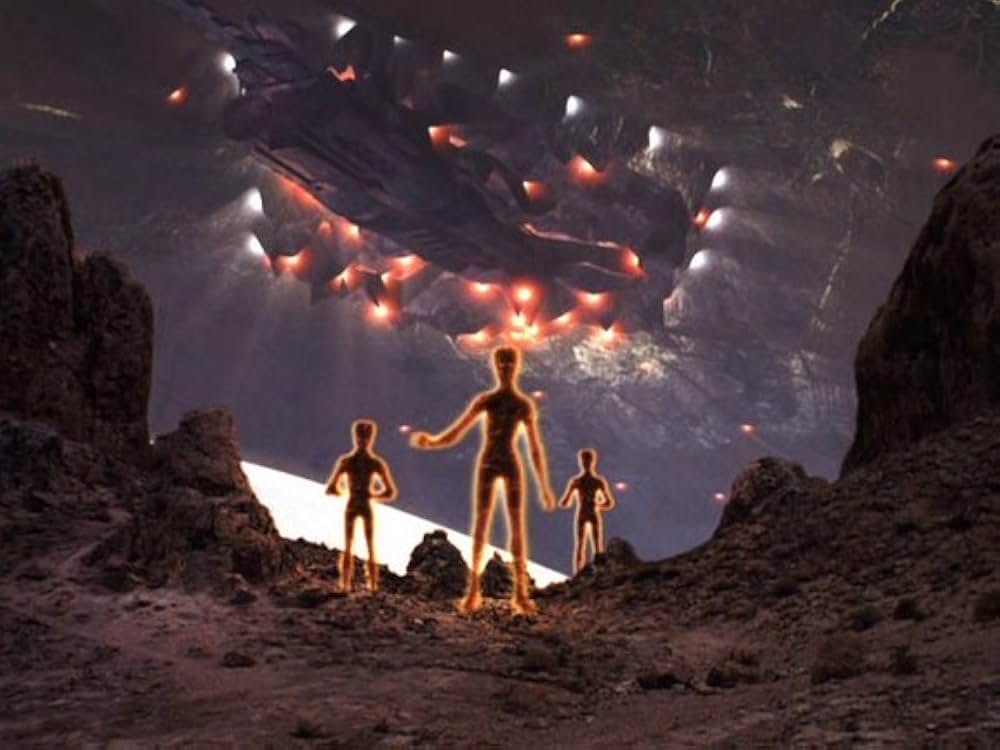 センダー／超誘導体の写真