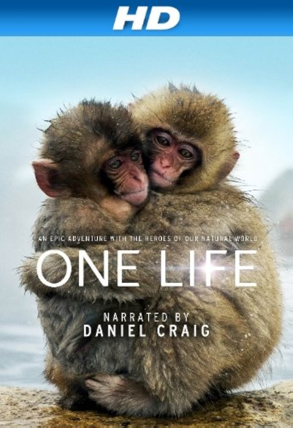 ライフ いのちをつなぐ物語の画像