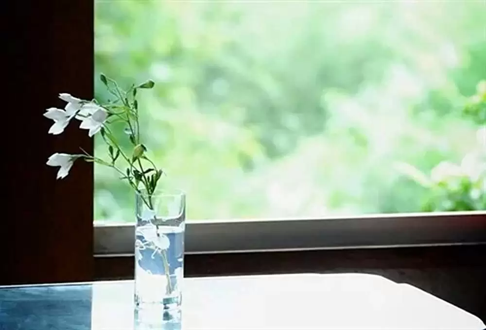 百万円と苦虫女の画像