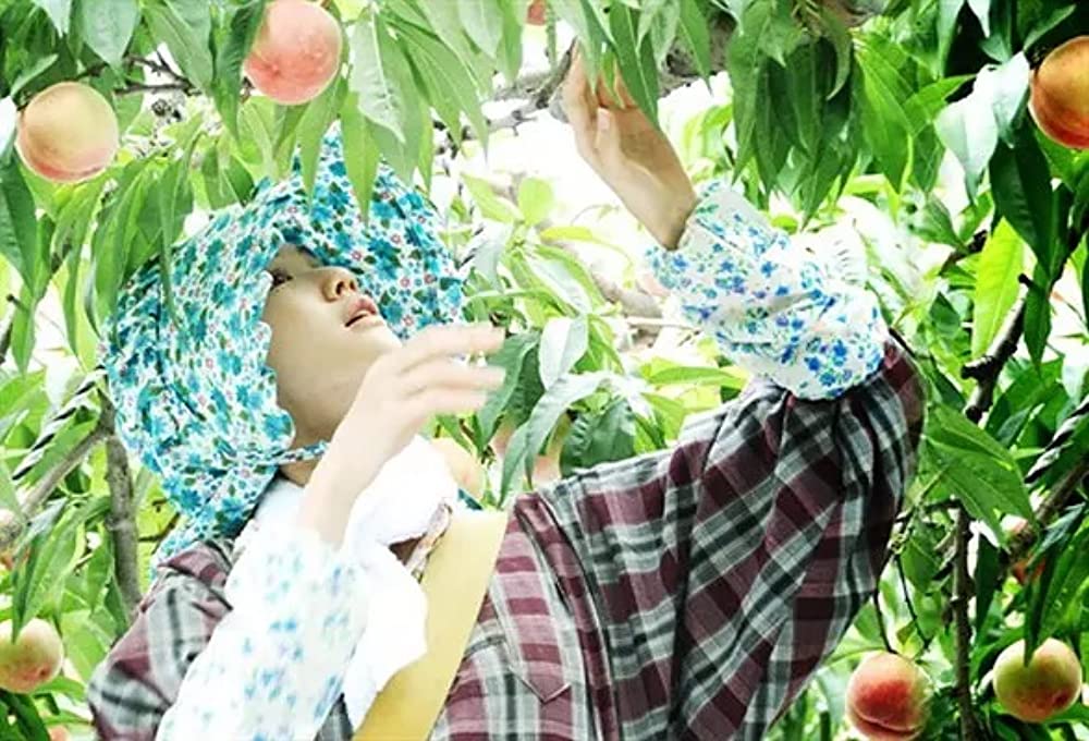 百万円と苦虫女の画像