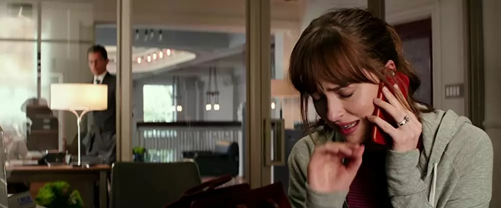 フィフティ・シェイズ・フリードの画像