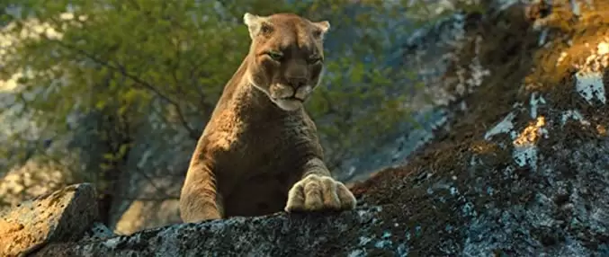 ベラのワンダフル・ホームの画像