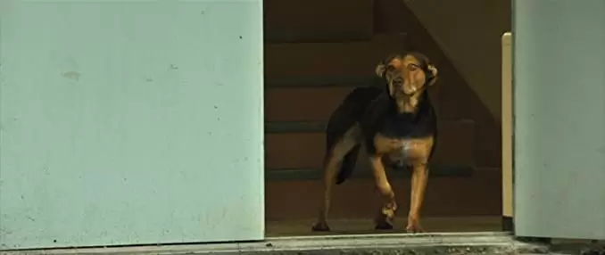 ベラのワンダフル・ホームの画像