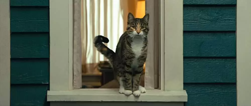 ベラのワンダフル・ホームの画像