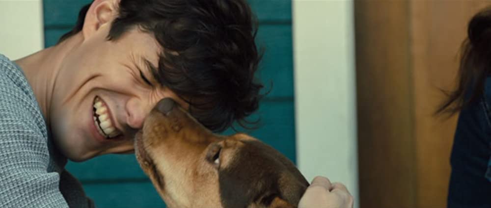 ベラのワンダフル・ホームの画像