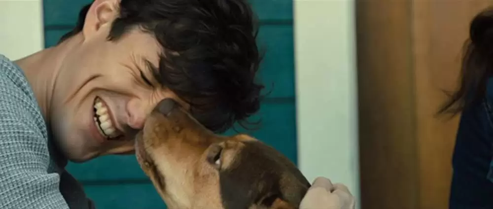 「ベラのワンダフル・ホーム」ジョナ・ハウアー＝キングの画像