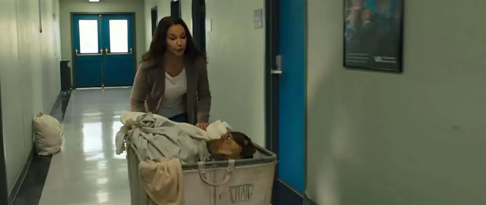 「ベラのワンダフル・ホーム」アシュレイ・ジャッドの画像