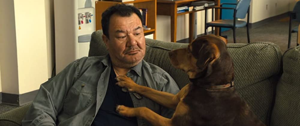 ベラのワンダフル・ホームの画像