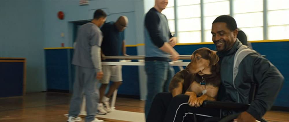 ベラのワンダフル・ホームの画像