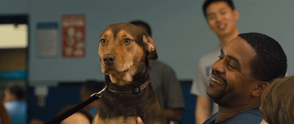 ベラのワンダフル・ホームの画像