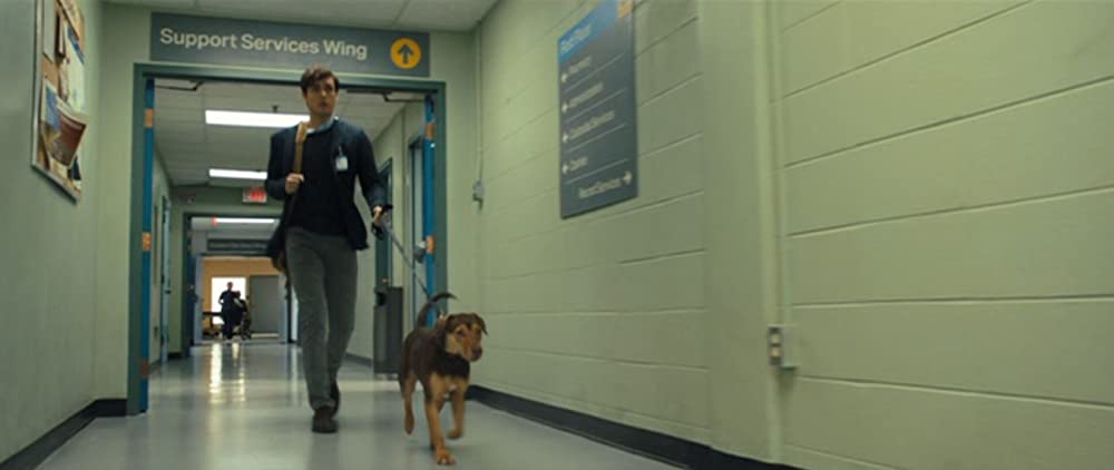 ベラのワンダフル・ホームの画像