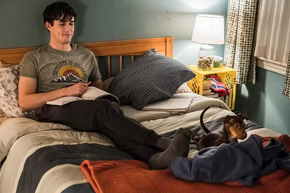 「ベラのワンダフル・ホーム」ジョナ・ハウアー＝キングの画像