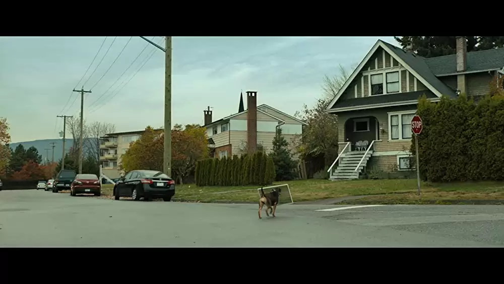 ベラのワンダフル・ホームの画像