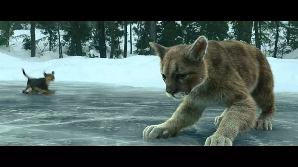 ベラのワンダフル・ホームの画像