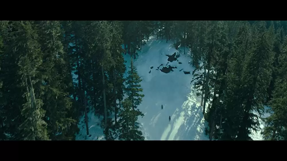 ベラのワンダフル・ホームの画像