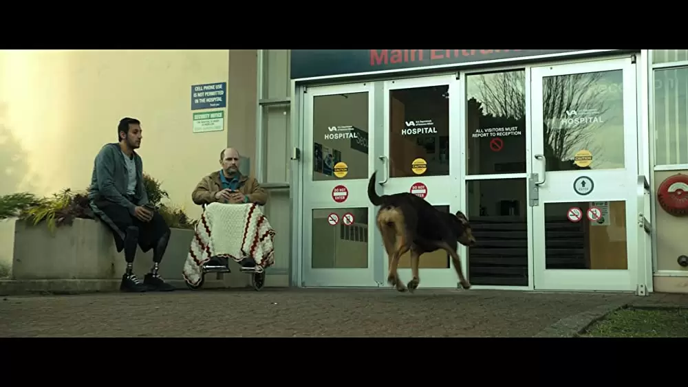 ベラのワンダフル・ホームの画像