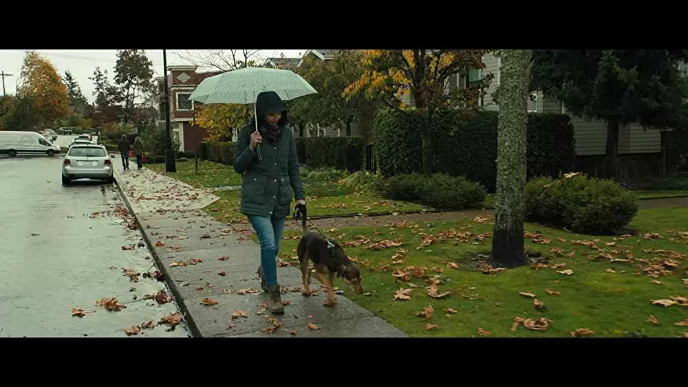 ベラのワンダフル・ホームの画像