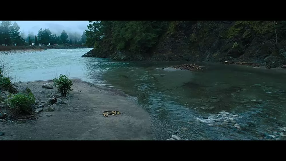 ベラのワンダフル・ホームの画像