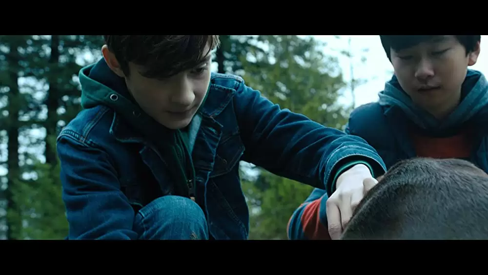 ベラのワンダフル・ホームの画像