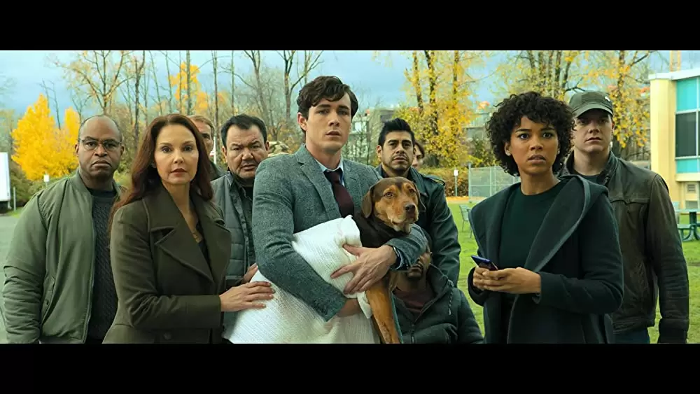 ベラのワンダフル・ホームの画像