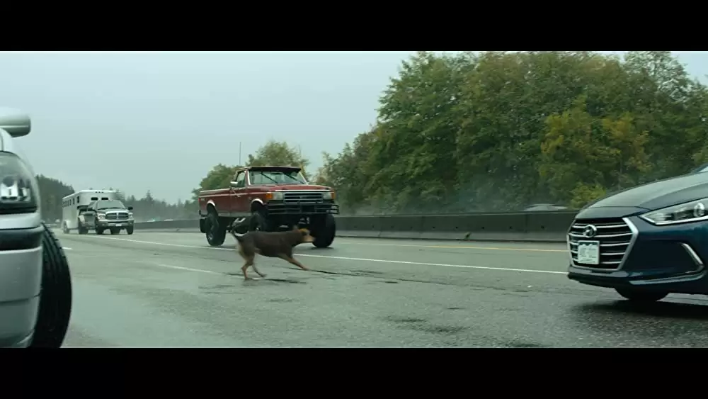 ベラのワンダフル・ホームの画像