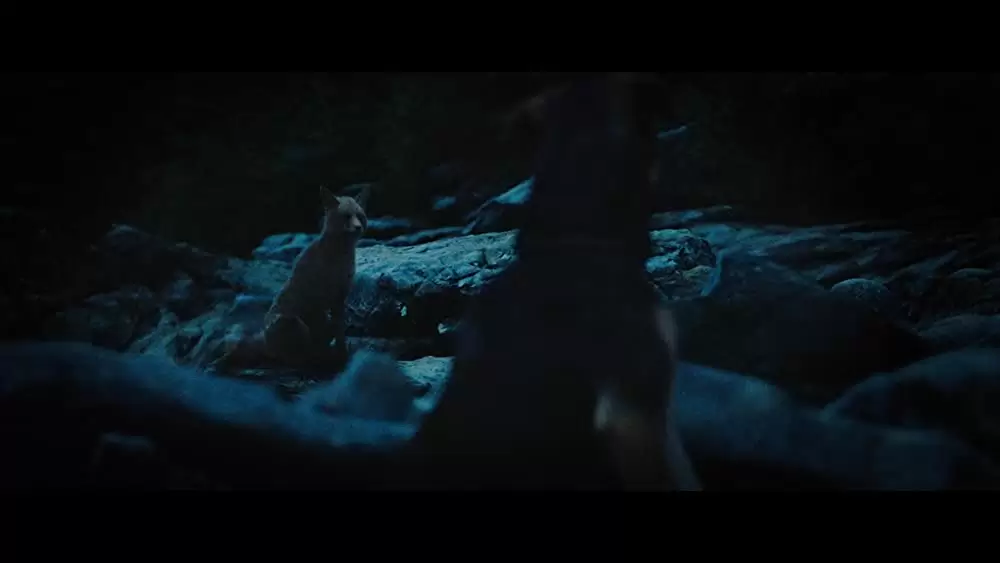 ベラのワンダフル・ホームの画像