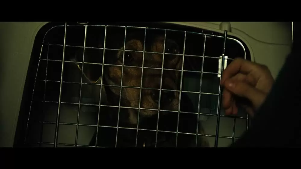 ベラのワンダフル・ホームの画像