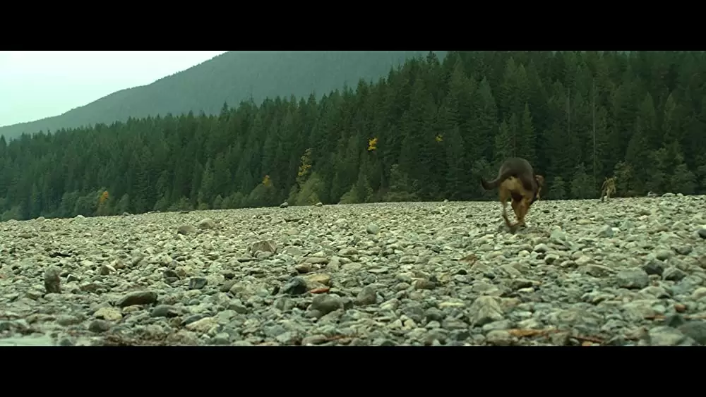 ベラのワンダフル・ホームの画像