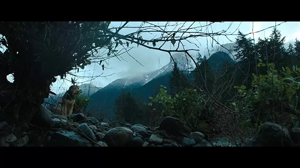 ベラのワンダフル・ホームの画像