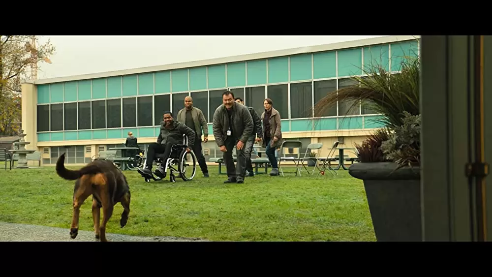 ベラのワンダフル・ホームの画像