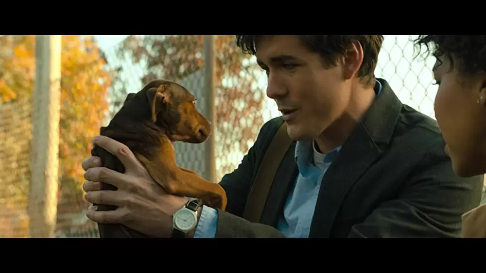 ベラのワンダフル・ホームの画像